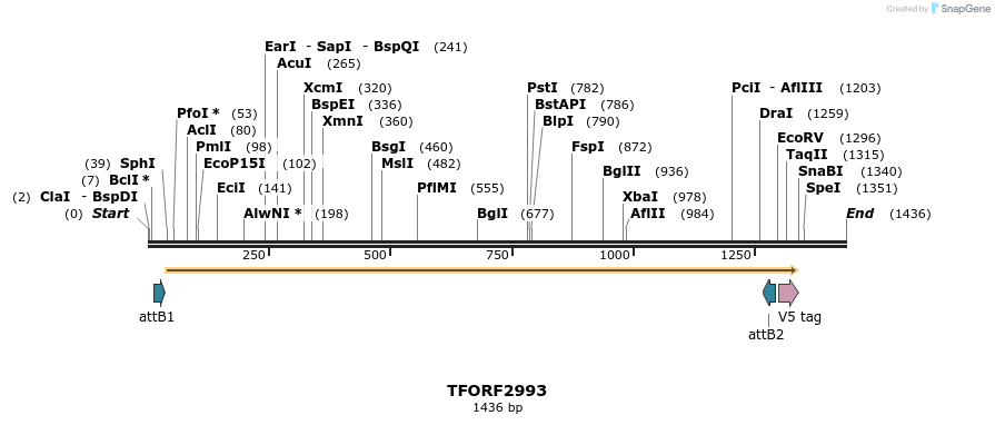 285522_map