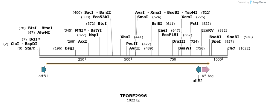 285531_map