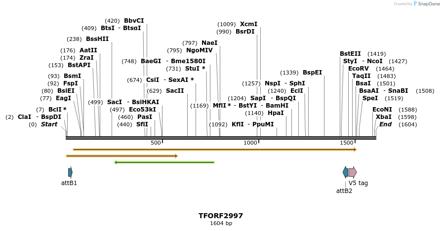 285534_map