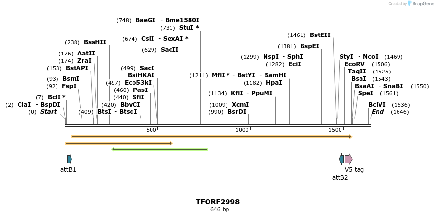 285537_map