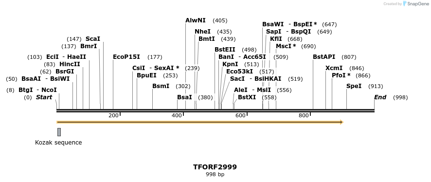 285540_map
