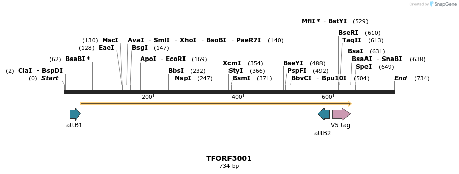 285546_map