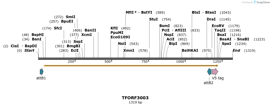 285552_map