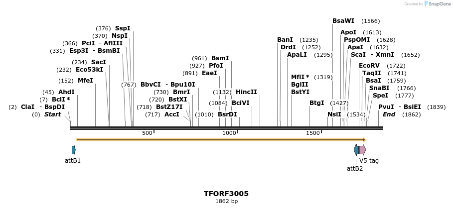 285558_map