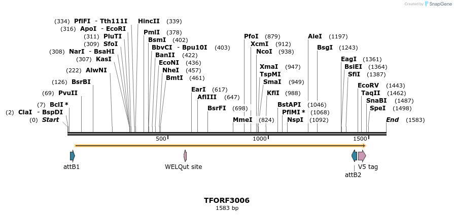 285561_map