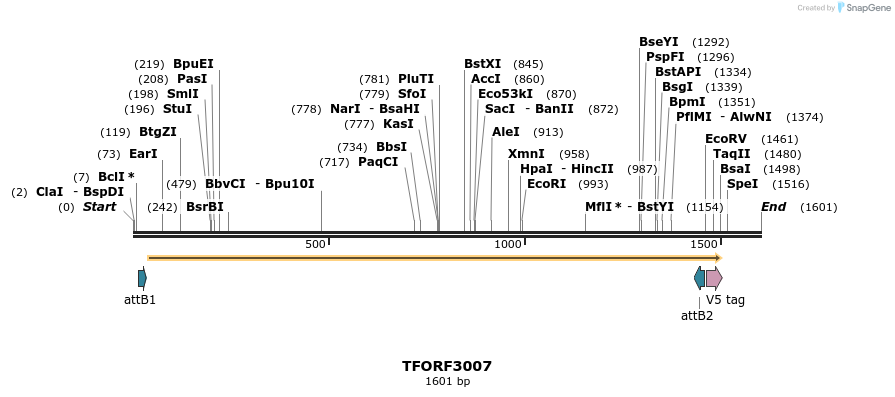 285564_map