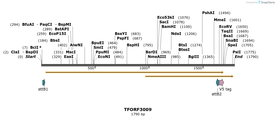 285570_map