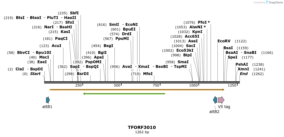 285573_map