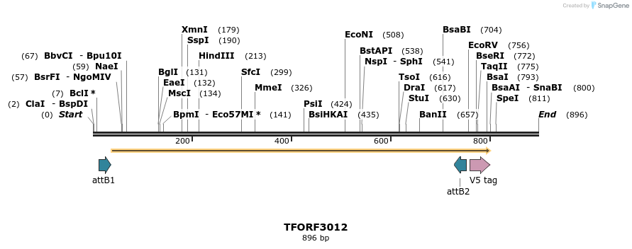 285579_map