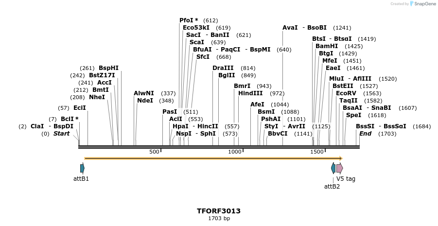 285582_map