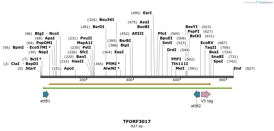 285594_map