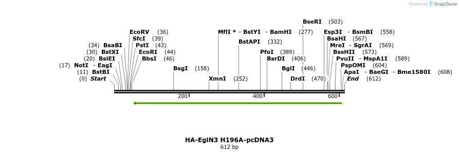 28560_map