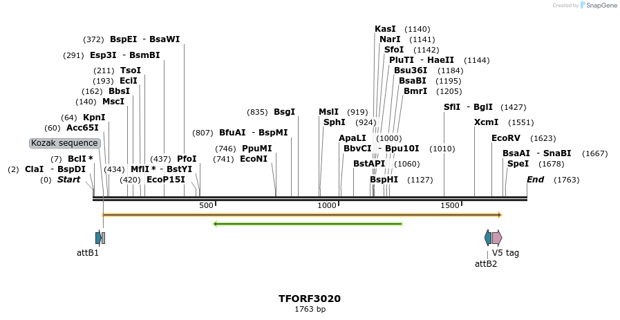 285603_map