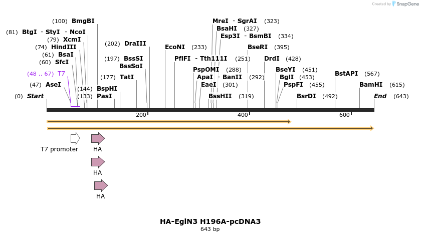 28561_map