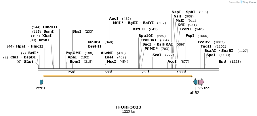 285612_map