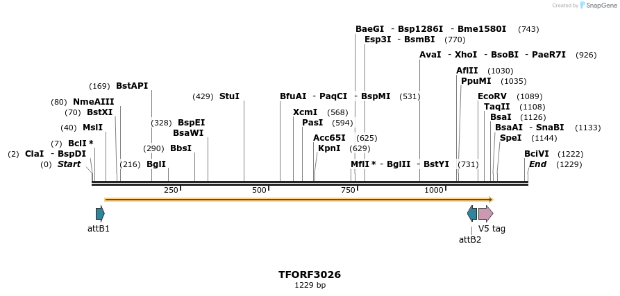285621_map