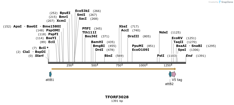 285627_map