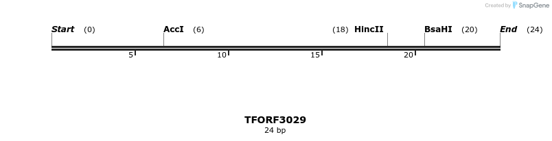 285631_map