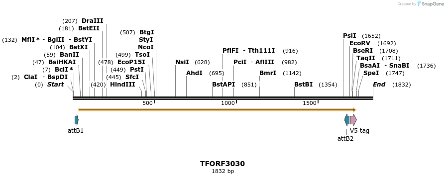 285633_map