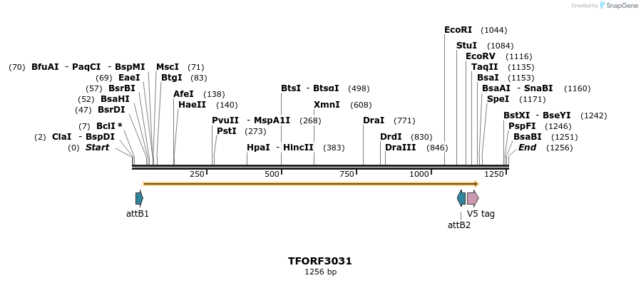 285636_map