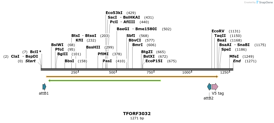 285639_map