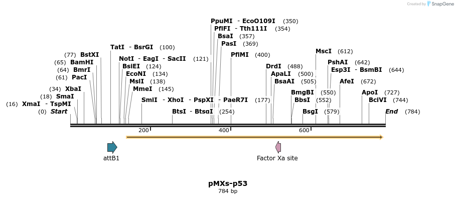 28564_map