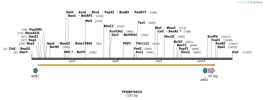 285642_map