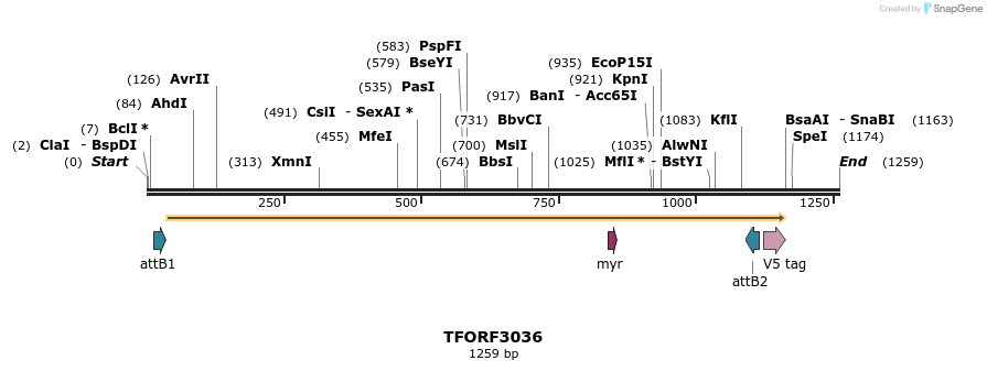 285651_map