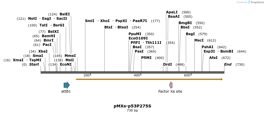 28566_map