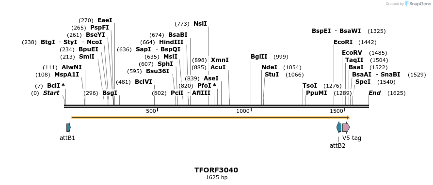 285663_map