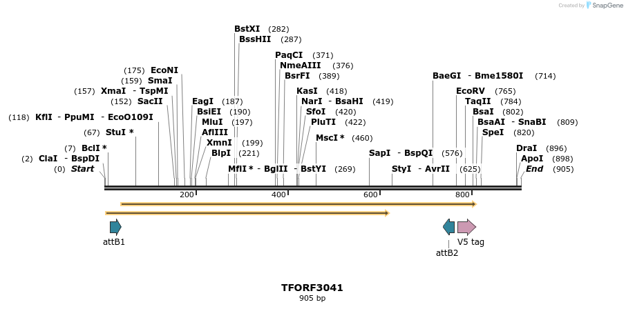 285666_map