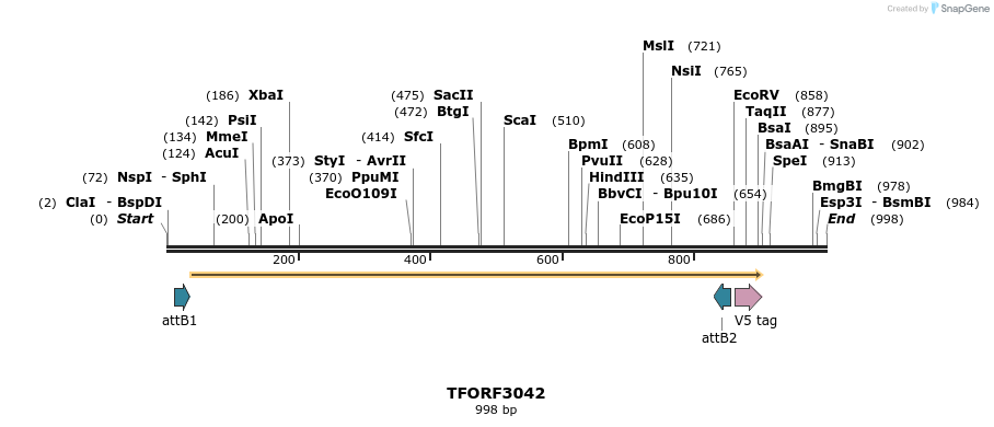 285669_map