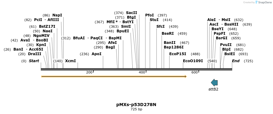 28567_map