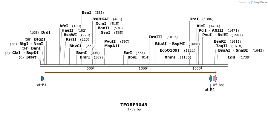 285672_map