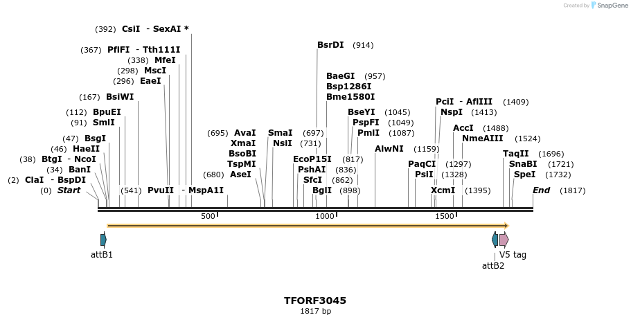 285678_map