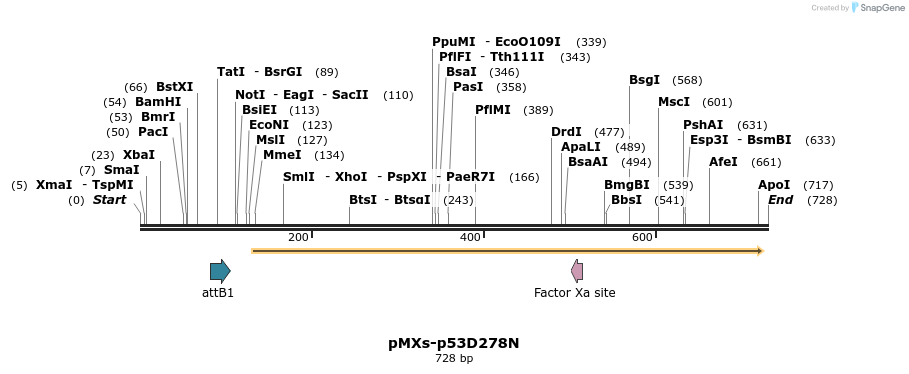28568_map