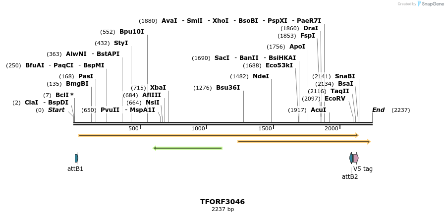 285681_map