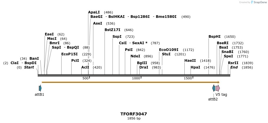285684_map