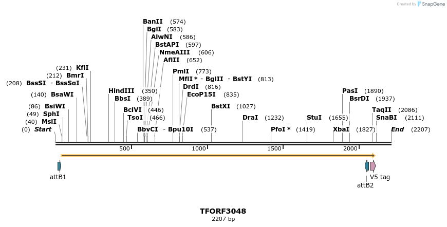 285687_map
