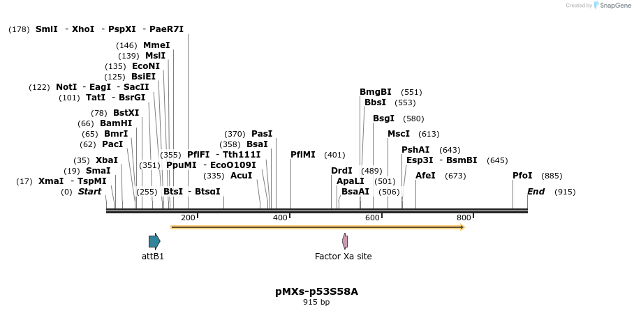 28569_map