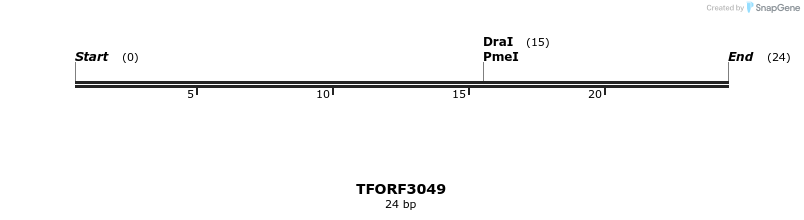 285691_map