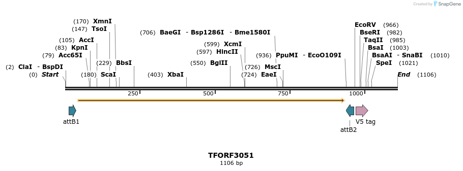 285696_map