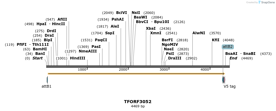 285699_map