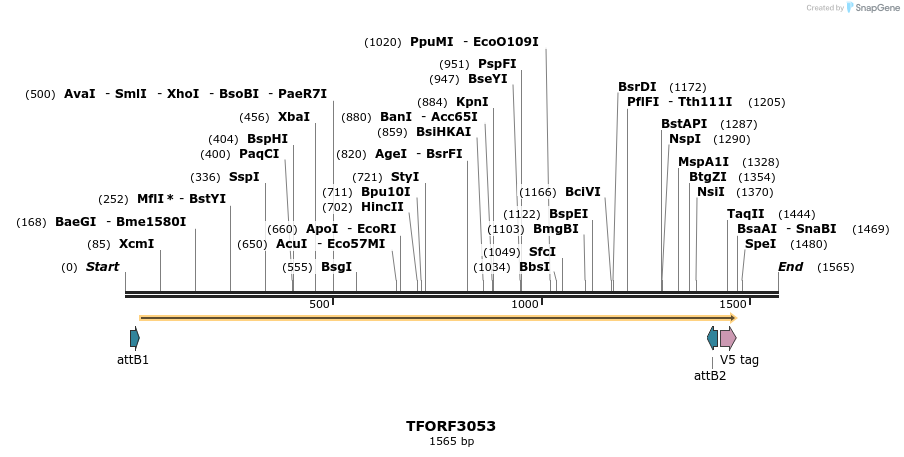285702_map