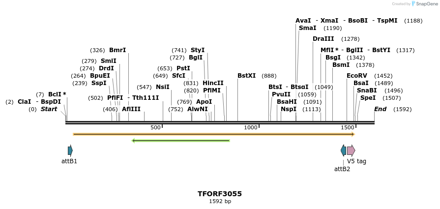 285708_map