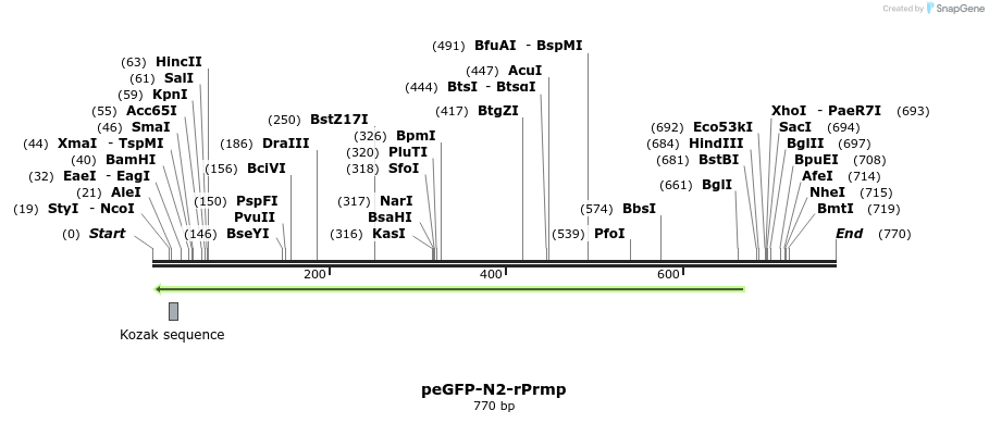 28571_map