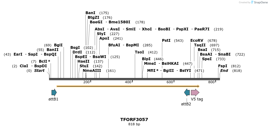 285714_map