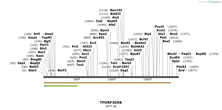 285717_map