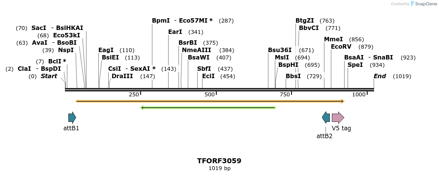 285720_map