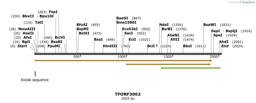 285729_map